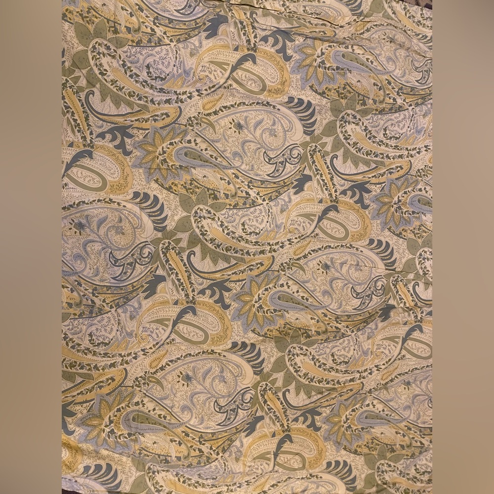 Pottery Barn paisley king size duvet with 2 standard shams.